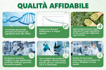 Negozio Ufficiale🐟🐳CureVivo® Moringa · Berberina × NAD+ 10-in-1 Cerotto Avanzato ai Nano Microaghi 🇮🇹 (Una volta al giorno, cambiamenti visibili in 7 giorni) ✅ Per sovrappeso, pelle flaccida, diabete,    apnea notturna, problemi articolari e altro🎎